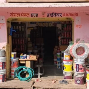 862d1033-0070-4cfe-b32c-6527e4782eda